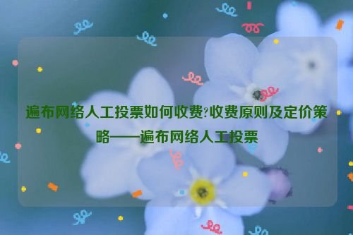 遍布网络人工投票如何收费?收费原则及定价策略——遍布网络人工投票