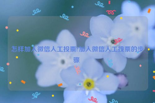 怎样加入微信人工投票?加入微信人工投票的步骤 