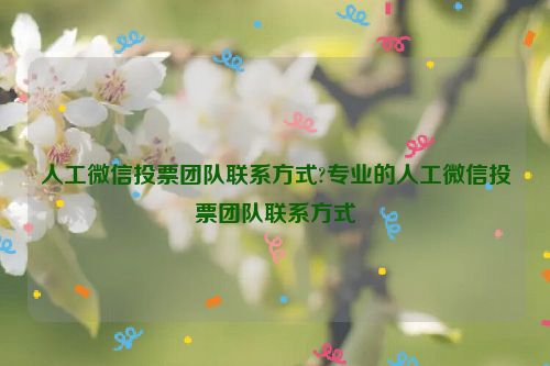 人工微信投票团队联系方式?专业的人工微信投票团队联系方式