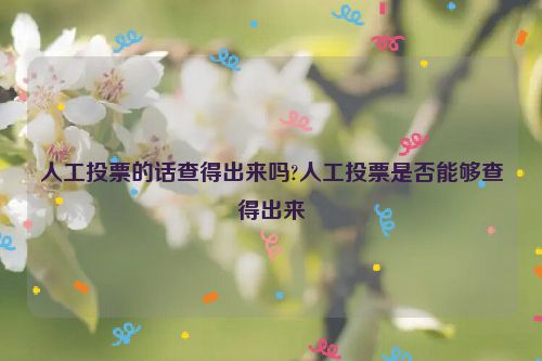 人工投票的话查得出来吗?人工投票是否能够查得出来