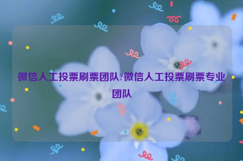 微信人工投票刷票团队?微信人工投票刷票专业团队