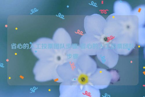 省心的人工投票团队步骤?省心的人工投票团队步骤