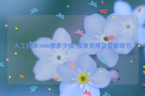 人工投票50000票多少钱?投票费用及费用细节