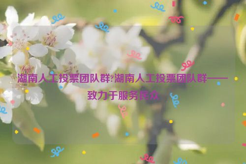 湖南人工投票团队群?湖南人工投票团队群——致力于服务民众