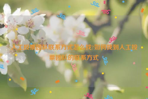 人工投票团队联系方式怎么找?如何找到人工投票团队的联系方式