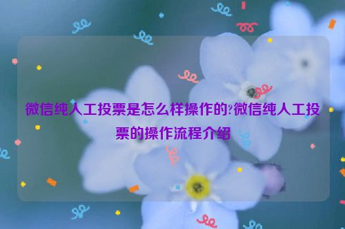 微信纯人工投票是怎么样操作的?微信纯人工投票的操作流程介绍