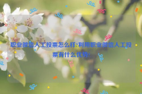 职业微信人工投票怎么样?利用职业微信人工投票有什么优势?