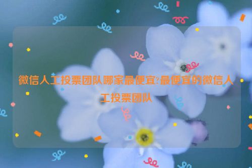 微信人工投票团队哪家最便宜?最便宜的微信人工投票团队