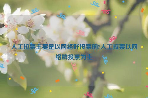 人工拉票主要是以网络群投票的?人工拉票以网络群投票为主