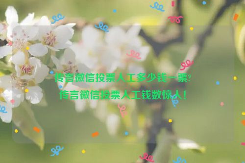 传言微信投票人工多少钱一票?
传言微信投票人工钱数惊人！
