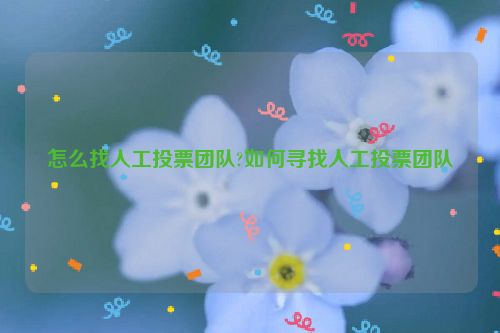 怎么找人工投票团队?如何寻找人工投票团队