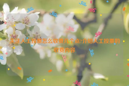 关注人工投票怎么收费几个点?介绍人工投票的收费内容