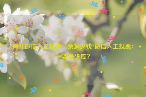 揭开微信人工投票一票多少钱?微信人工投票：一票多少钱？