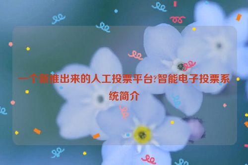 一个新推出来的人工投票平台?智能电子投票系统简介