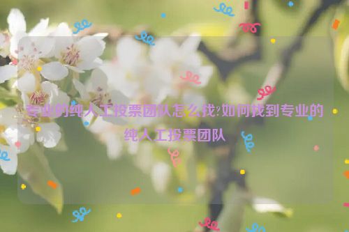 专业的纯人工投票团队怎么找?如何找到专业的纯人工投票团队