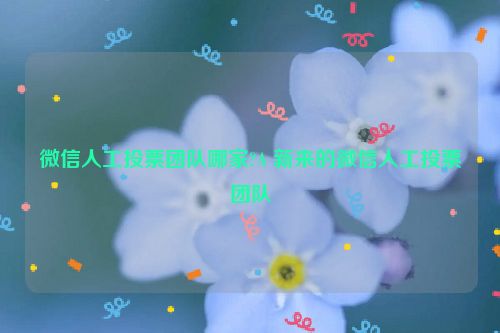 微信人工投票团队哪家?A 新来的微信人工投票团队