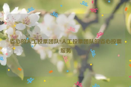 省心的人工投票团队?人工投票团队的省心投票服务