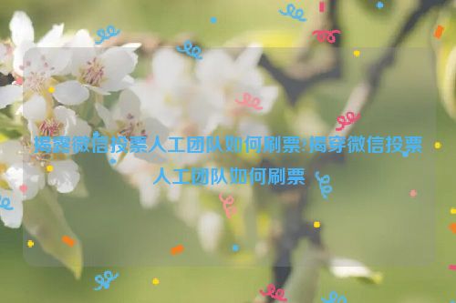 揭露微信投票人工团队如何刷票?揭穿微信投票人工团队如何刷票