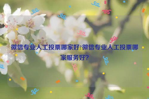 微信专业人工投票哪家好?微信专业人工投票哪家服务好？