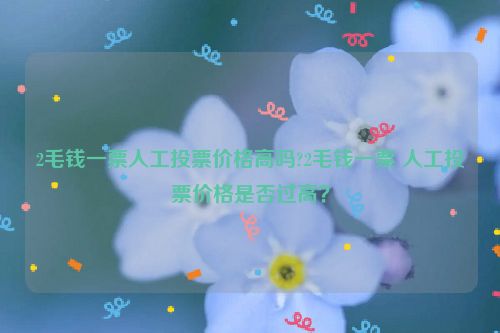 2毛钱一票人工投票价格高吗?2毛钱一票 人工投票价格是否过高？