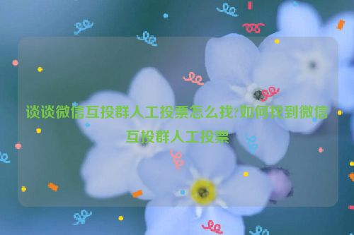 谈谈微信互投群人工投票怎么找?如何找到微信互投群人工投票