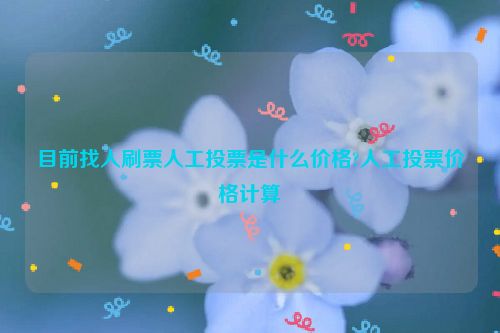 目前找人刷票人工投票是什么价格?人工投票价格计算