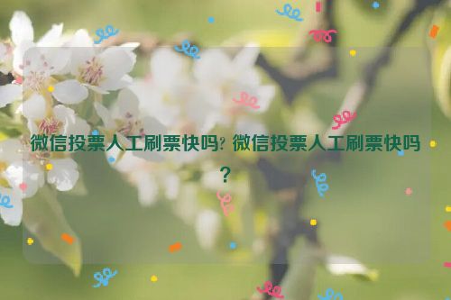 微信投票人工刷票快吗? 微信投票人工刷票快吗？