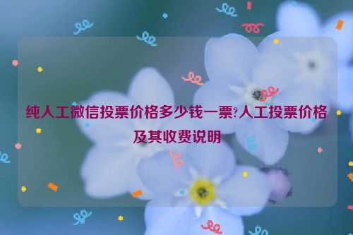 纯人工微信投票价格多少钱一票?人工投票价格及其收费说明