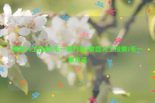 微信人工投票1毛一票方法?微信人工投票1毛一票方法