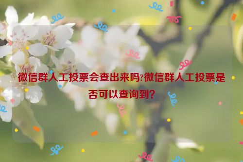 微信群人工投票会查出来吗?微信群人工投票是否可以查询到？