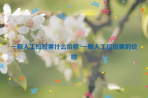 一般人工拉投票什么价格?一般人工拉投票的价格