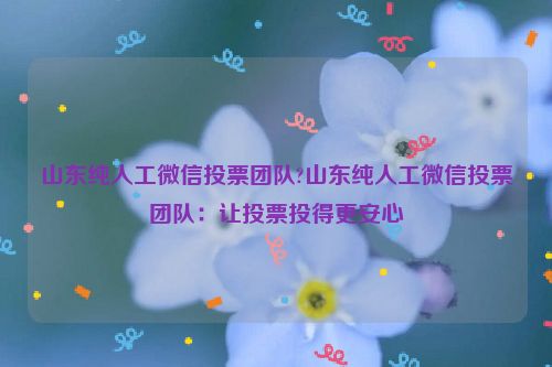 山东纯人工微信投票团队?山东纯人工微信投票团队：让投票投得更安心