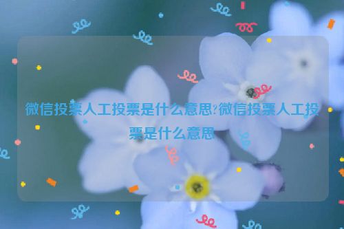 微信投票人工投票是什么意思?微信投票人工投票是什么意思