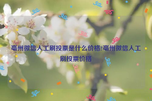 亳州微信人工刷投票是什么价格?亳州微信人工刷投票价格