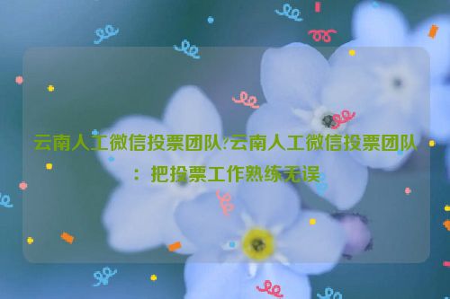 云南人工微信投票团队?云南人工微信投票团队：把投票工作熟练无误