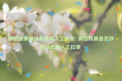 微信投票有没有认真人工拉票? 微信投票是否存在认真的人工拉票 