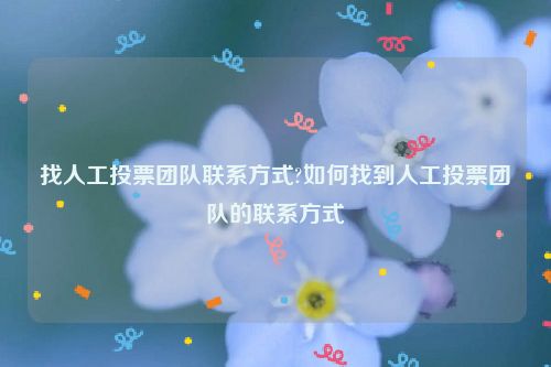 找人工投票团队联系方式?如何找到人工投票团队的联系方式