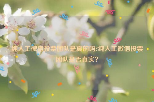 纯人工微信投票团队是真的吗?纯人工微信投票团队是否真实？