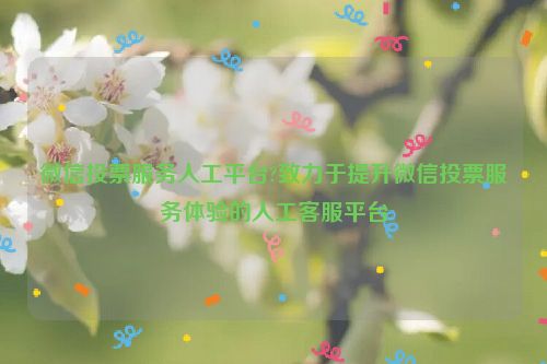 微信投票服务人工平台?致力于提升微信投票服务体验的人工客服平台