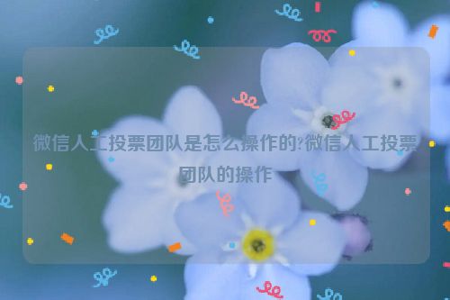 微信人工投票团队是怎么操作的?微信人工投票团队的操作