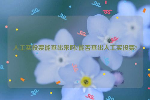 人工买投票能查出来吗?能否查出人工买投票?