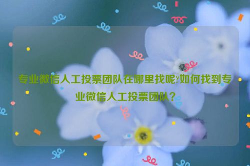 专业微信人工投票团队在哪里找呢?如何找到专业微信人工投票团队？