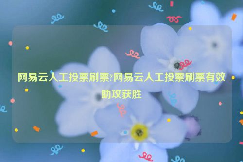 网易云人工投票刷票?网易云人工投票刷票有效助攻获胜