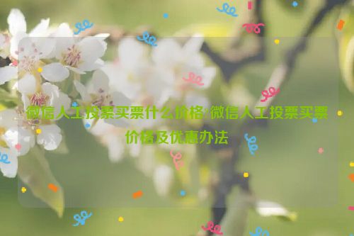 微信人工投票买票什么价格?微信人工投票买票价格及优惠办法