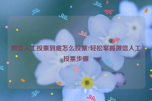 微信人工投票到底怎么投票?轻松掌握微信人工投票步骤