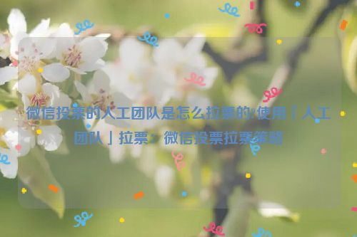 微信投票的人工团队是怎么拉票的?使用「人工团队」拉票：微信投票拉票策略