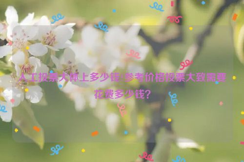 人工投票大体上多少钱?参考价格投票大致需要花费多少钱？