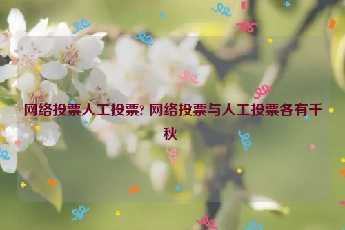 网络投票人工投票? 网络投票与人工投票各有千秋 