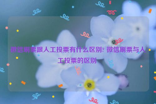 微信刷票跟人工投票有什么区别? 微信刷票与人工投票的区别 