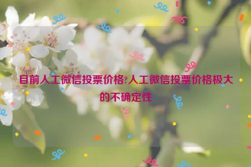 目前人工微信投票价格?人工微信投票价格极大的不确定性